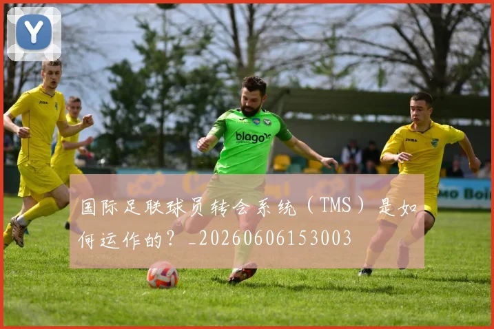 国际足联球员转会系统（TMS）是如何运作的？_20260606153003
