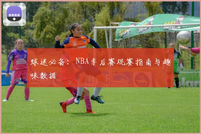 球迷必备：NBA季后赛观赛指南与趣味数据