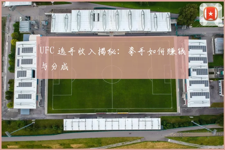 UFC 选手收入揭秘：拳手如何赚钱与分成