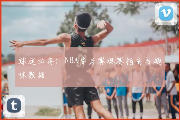球迷必备：NBA季后赛观赛指南与趣味数据