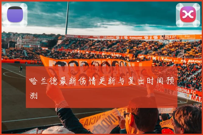 哈兰德最新伤情更新与复出时间预测